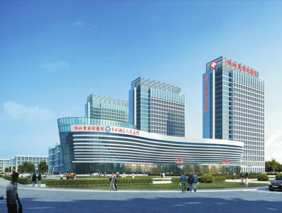 東西湖區人民醫院異地新建項目（一期）電梯設備采購及安裝項目